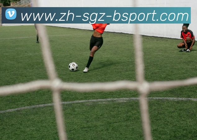 B体育官方网站服务体系